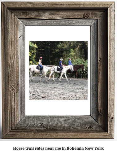 horse trail rides near me in Bohemia, New York